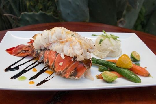 Lobster Tail Dinner with a Private Chef in Los Cabos