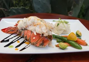 Lobster Tail Dinner with a Private Chef in Los Cabos