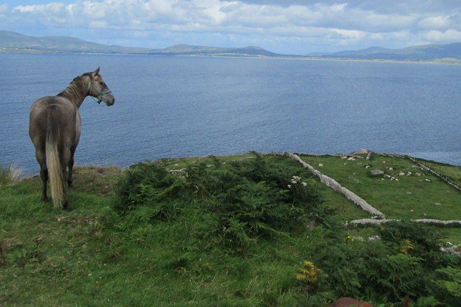Luxury Photography Day Tour on Ring of Kerry and Skellig Ring - Fully Guided and Chauffeured