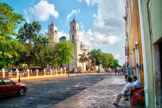 Private Tour Colonial City of Valladolid, Pink Waters of Las Coloradas and Pink Flamingos
