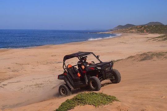 Cabo Original Real Baja 1000 Tour (Single UTV)