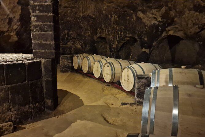 Wine Tasting in Montepulciano Private Tour from Rome