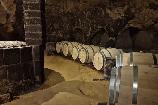 Wine Tasting in Montepulciano Private Tour from Rome