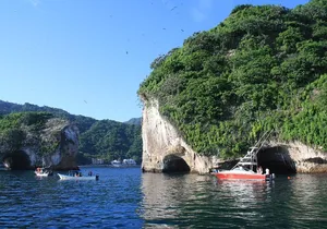 Private Los Arcos snorkeling