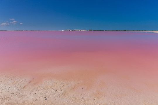 Private Chichen Itza, Cenote Ik Kil, Rio Lagartos & Las Coloradas