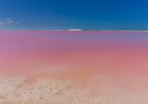 Private Chichen Itza, Cenote Ik Kil, Rio Lagartos & Las Coloradas