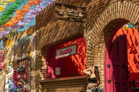 Art and Wine Evening City tour in San Jose del Cabo for Adults