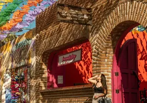 Art and Wine Evening City tour in San Jose del Cabo for Adults