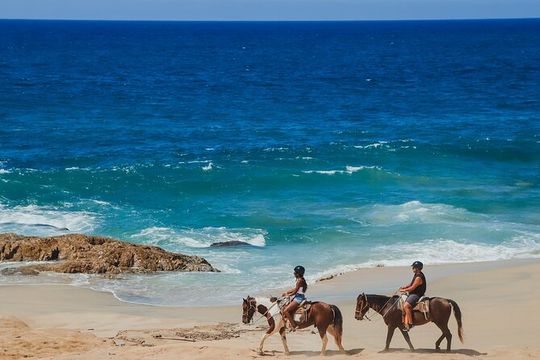 Tacos and Horseback Riding at Migriño beach