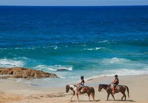 Tacos and Horseback Riding at Migriño beach