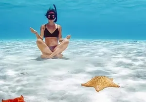 Tour Cozumel Snorkel Experience! Lunch & Transportation only from Cancun