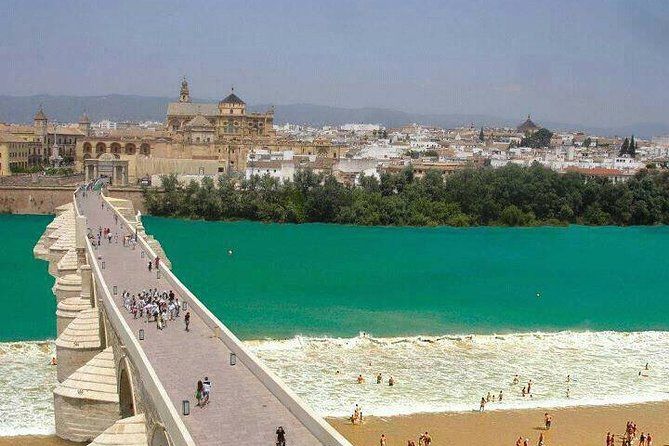 Cordoba private tour from Granada including the great Mosque