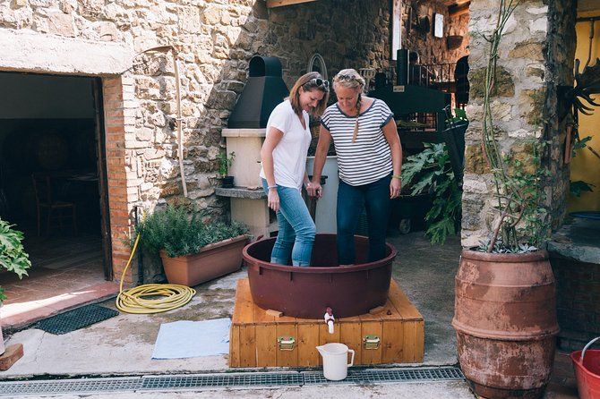 Private Grape stomping in Chianti from Siena