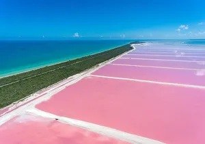Pink Waters of Las Coloradas, Pink Flamingos and Colonial City of Valladolid with Photographer
