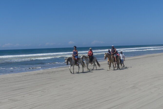 Afro-Mexican Village: Horseback Beach Ride, Crocs & Cliff Diver
