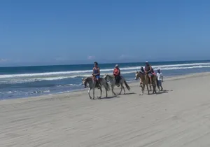Afro-Mexican Village: Horseback Beach Ride, Crocs & Cliff Diver