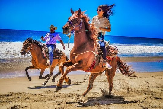 Beach and Desert UTV with Horseback Riding Experience