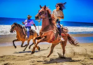 Beach and Desert UTV with Horseback Riding Experience