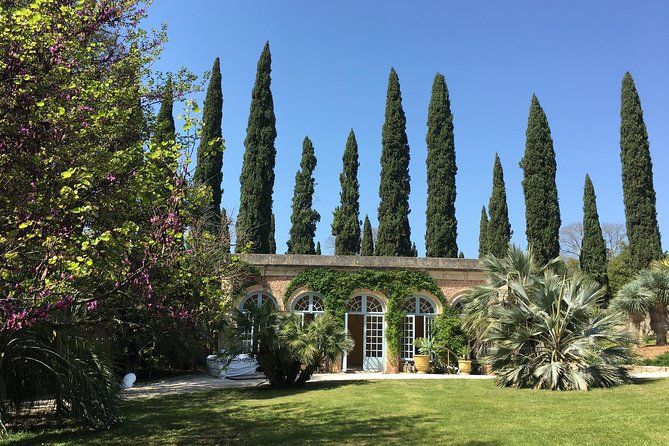 Small-Group Half-Day Châteaux of Montpellier Wine Tour
