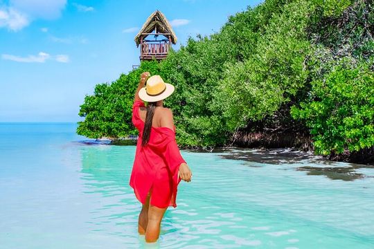 Holbox Island Adventure from Riviera Maya