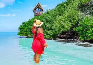 Holbox Island Adventure from Riviera Maya