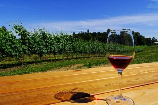 Private Tour: Vancouver Half Day Wine Tasting Tour