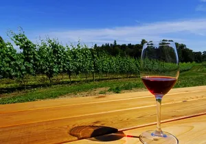 Private Tour: Vancouver Half Day Wine Tasting Tour
