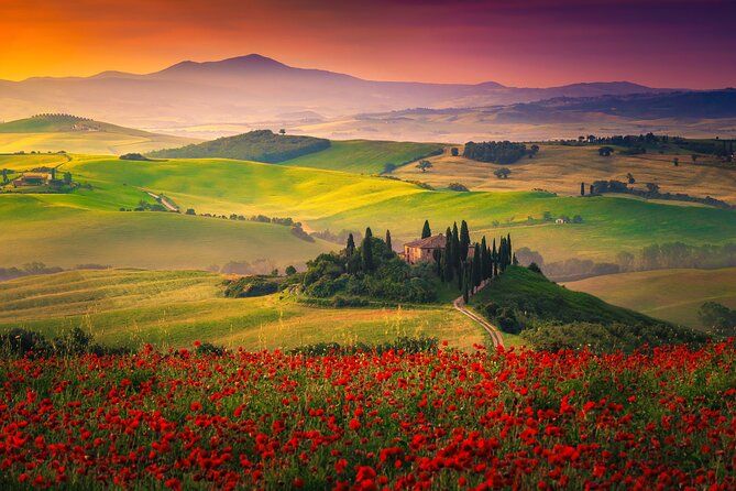 Tuscany from Rome by Private Car with Lunch and Wine Tasting