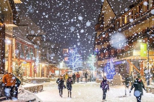 Whistler 1-Day Tour from Vancouver (Chn&Eng)