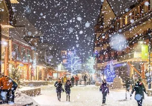 Whistler 1-Day Tour from Vancouver (Chn&Eng)
