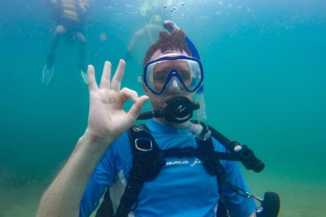 Rincón Shore Dive | No Boat, No Seasickness | Expert Guides
