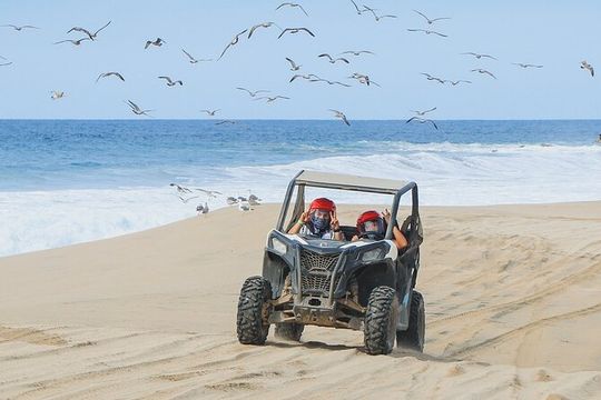 Side by Side 4X4 Adventure in Los Cabos