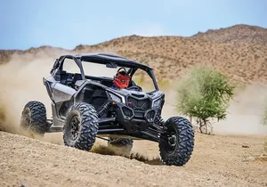 Off-Road Cabo Adventure: Desert & Beach Ride Plus Tequila Tasting