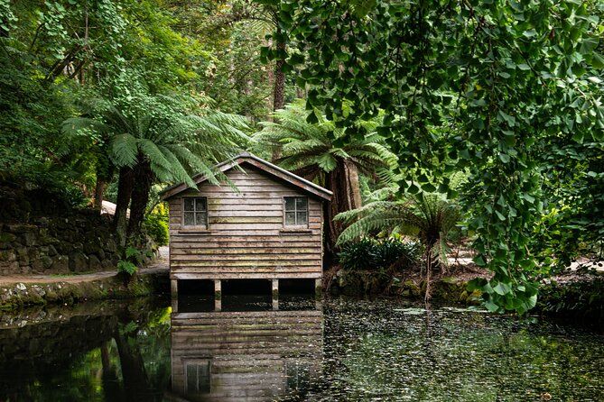Dandenong Ranges Private Day Tour