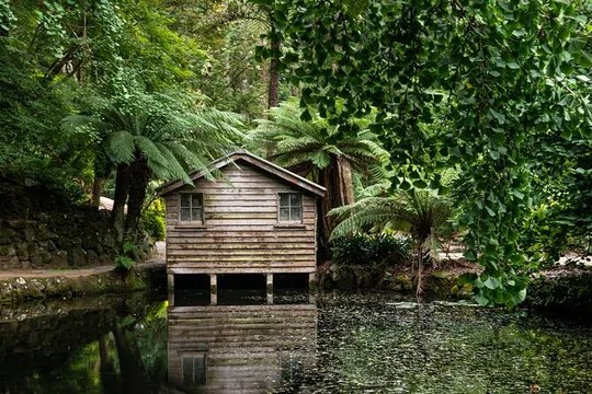 Dandenong Ranges Private Day Tour