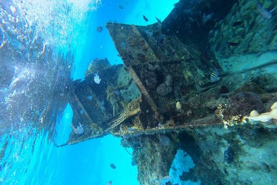 Reef and Sunken Ship Snorkeling Experience in Cancun