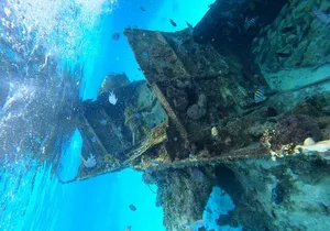 Reef and Sunken Ship Snorkeling Experience in Cancun