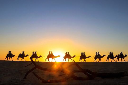 Combo Horseback ride & Sky Bike in Cabo by Cactus Tours Park