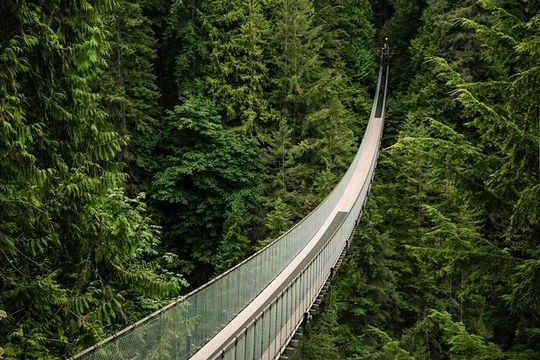 Vancouver's Finest Private Sightseeing Tour