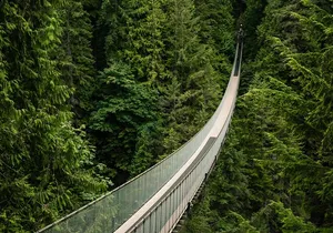 Vancouver's Finest Private Sightseeing Tour