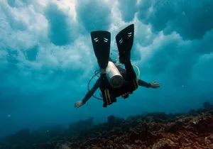 Scuba Diving (1st time) in Cancun Beginner's WELCOMED!