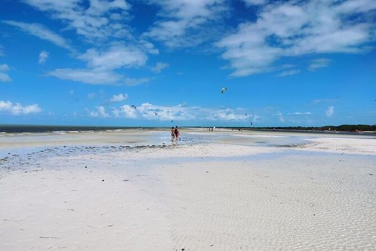 Holbox Ferry Beaches: Punta Mosquitos & Cocos from Cancun