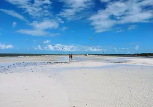Holbox Ferry Beaches: Punta Mosquitos & Cocos from Cancun
