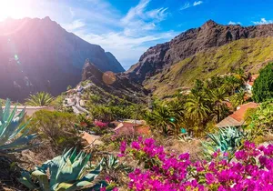 Garachico & Masca Quad Tour in Tenerife for 4 Hours