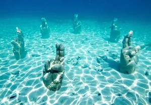 Tour in the Contoy Island Reserve Plus Visit to Isla Mujeres