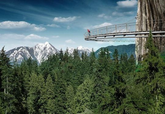 Vancouver Sightseeing and Suspension Bridge Small Group Tour