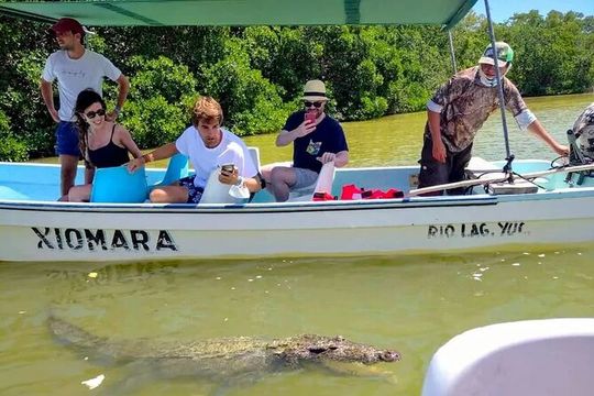 Guided tour at Las Coloradas & Rio Lagartos Biosphere in a boat