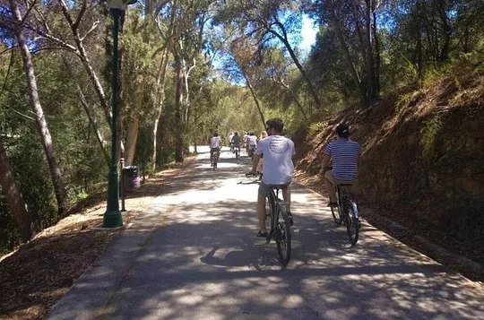 Malaga E-Bike Tour: Old Town, Gibralfaro Forest and Coast