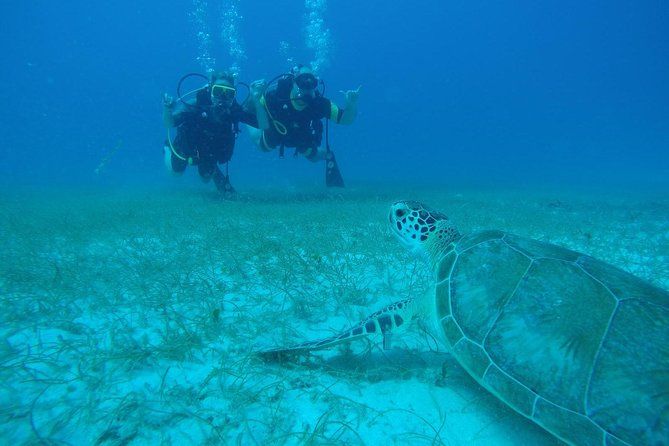 Discover Fajardo: 2-Tank Scuba Diving