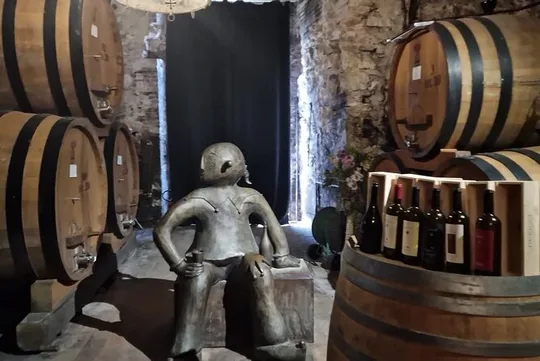 Wine Tasting in Montepulciano Tuscany Private Tour from Rome